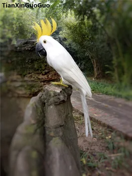 Bijelo perje kakadu papagaj oslanjanje,imitacija papiga oko 30 cm ptica krut model ručni rad,dar za ukrašavanje kućnog vrta s0299